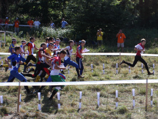 Foto: Pasaules čempionāts orientēšanās sportā, stafetes (Ungārija 2009)
